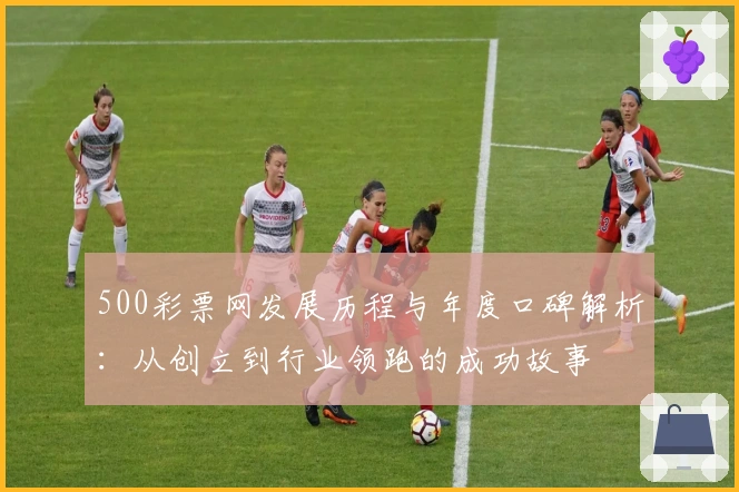 500彩票网发展历程与年度口碑解析：从创立到行业领跑的成功故事